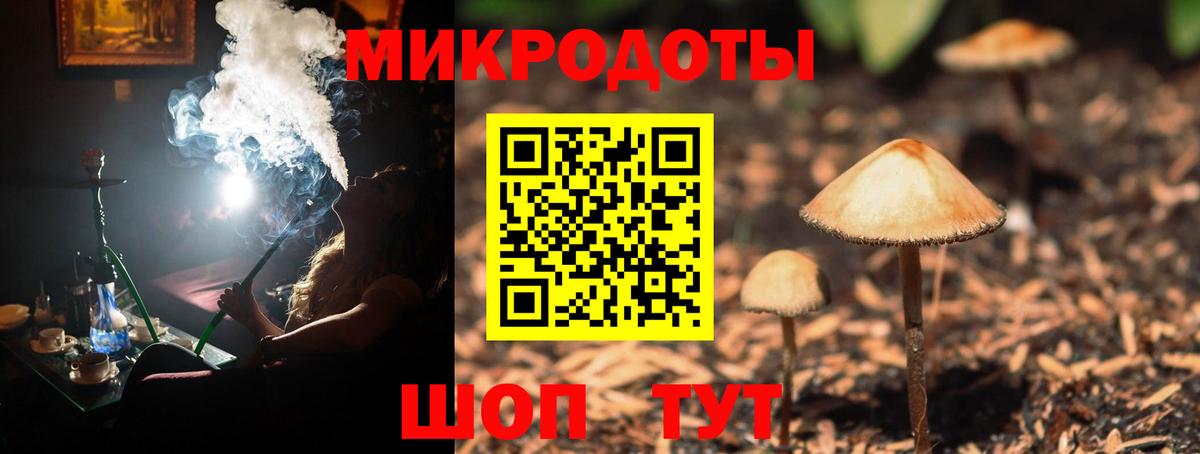 Сегежа  Псилоцибиновые грибы MAGIC MUSHROOMS  Вход с VPN  Псилоцибиновые грибы Psilocybe 