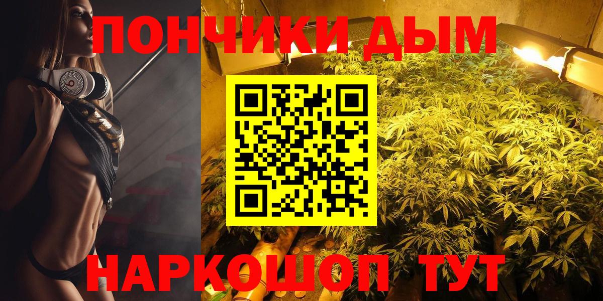 Канабис семена  Бошки марихуана ГИДРОПОН  Вход с VPN  Шишки марихуана план  Сегежа  Конопля THC 21% 